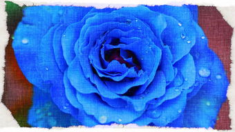 孕妇可以做B族链球菌检查吗阳性怎么办？